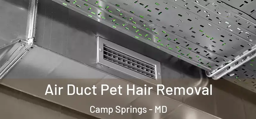 Air Duct Pet Hair Removal Camp Springs - MD