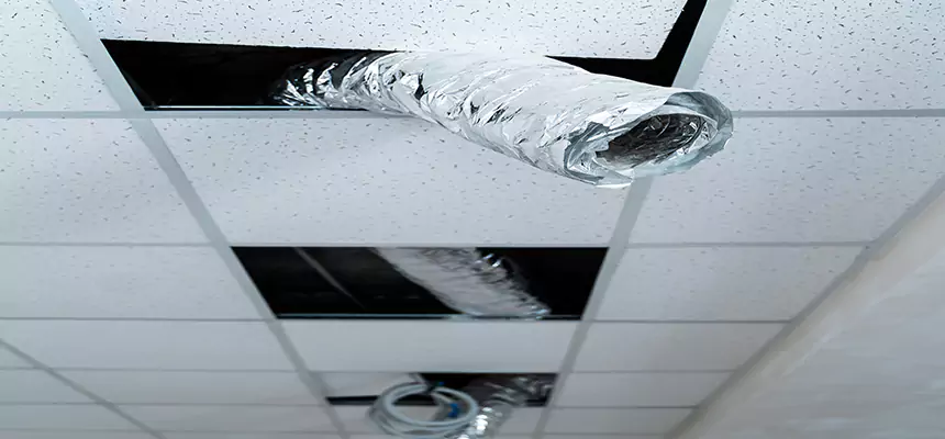 Affordable HVAC Sanitizing After Pest Removal in Camp Springs