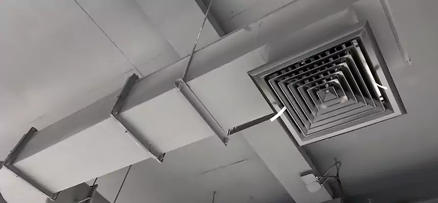 Our Pest Removal From Ducts Services in Camp Springs, MD