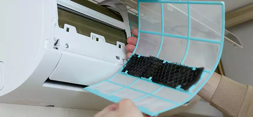 Gentle Ductwork Odor-Control Pet Dander Duct Cleaning in Camp Springs, MD