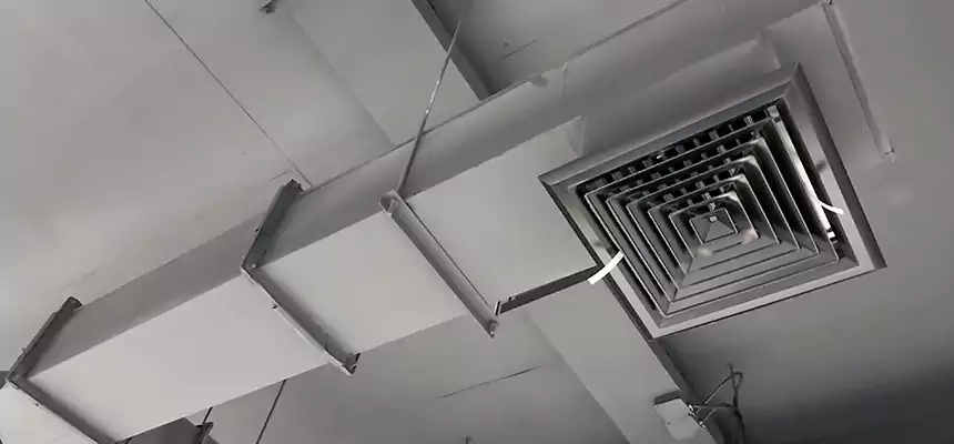 Our Rodent Droppings In Vents Services in Camp Springs, MD