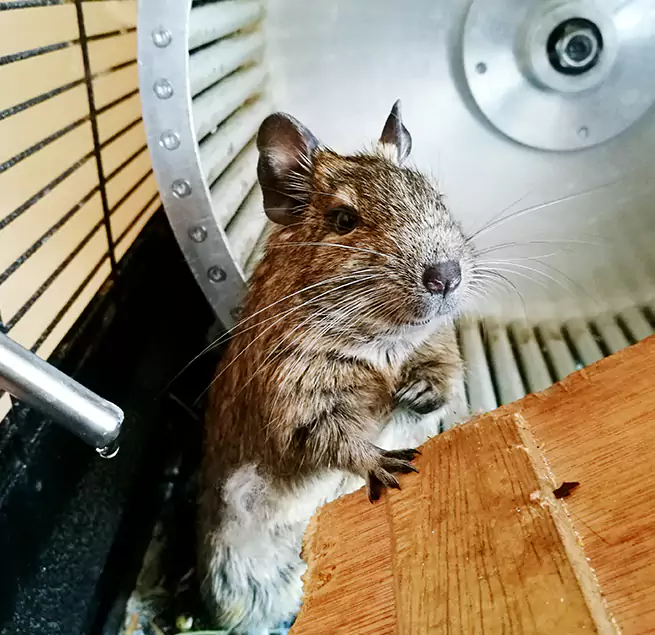 Why Homeowners & Businesses Trust Us Camp Springs, MD