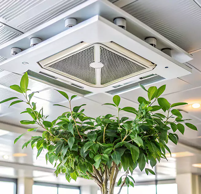 Why Homeowners & Businesses Trust Us in Camp Springs, MD?