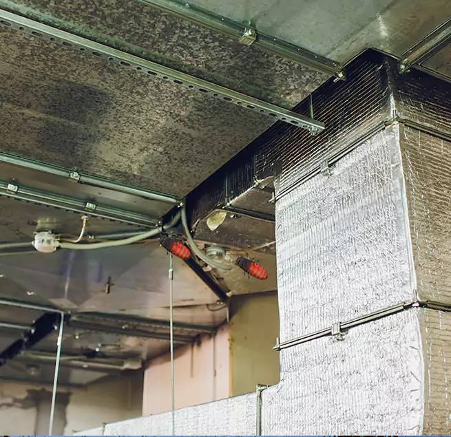 Why Homeowners & Businesses Trust Us Camp Springs, MD?