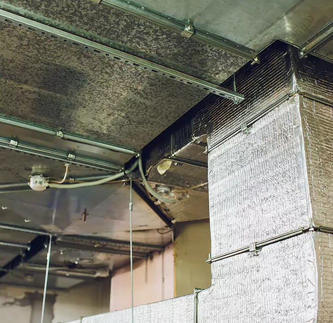 Why Homeowners & Businesses Trust Us in Camp Springs, MD?